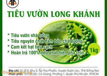 Tiêu vườn Long Khanh – giá rẻ – chất lượng cao