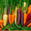 Cà rốt và những lợi ích tuyệt vời với sức khỏe
