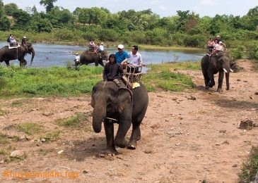 Đắk Lắk sẽ không tổ chức du lịch cưỡi voi