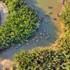 Rừng dừa Bảy Mẫu – điểm đặc biệt của du lịch Hội An