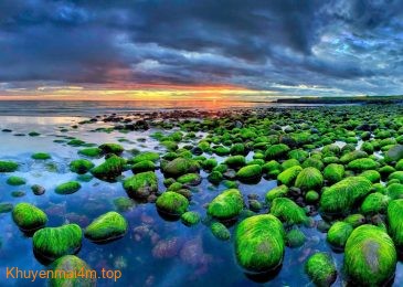 Top những bãi biển rêu xanh đẹp trên thế giới