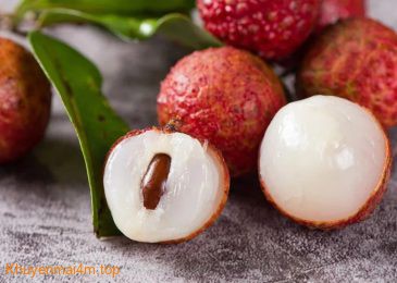 Lợi ích của trái vải mà có thể bạn chưa biết