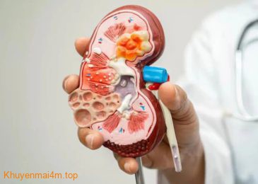 Sai lầm phổ biến gây hại cho thận mà ít người biết