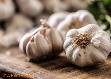 5 lý do nên ăn tỏi thường xuyên để bảo vệ gan và tim mạch