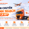 Lời Giải Cho Doanh Nghiệp & Tài Chính: Tối Ưu Dòng Tiền Nhờ Dịch Vụ Nhập Khẩu Chính Ngạch