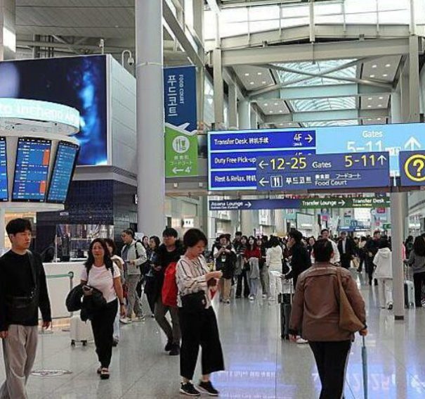 Vé máy bay nội địa Mỹ cuối năm có thể cao nhất 10 năm