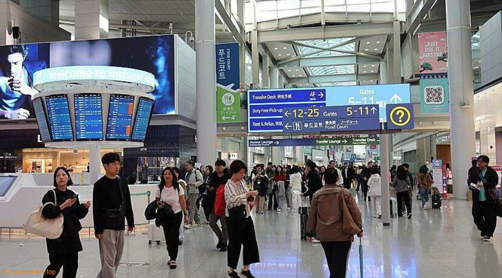 Vé máy bay nội địa Mỹ cuối năm có thể cao nhất 10 năm